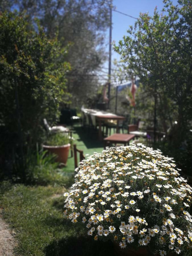 Villa Il Melograno Dolceacqua Exterior foto